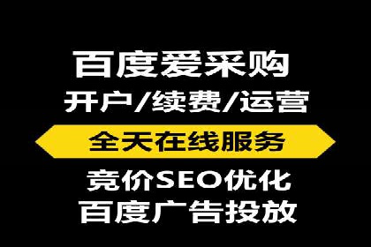 SEM竞价代运营公司经典案例解析
